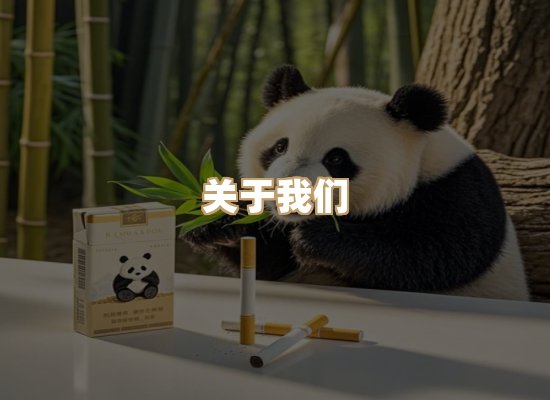 关于云歌烟网